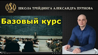Александр Пурнов - ВИДЕОКУРС _БАЗОВЫЙ__0.jpg